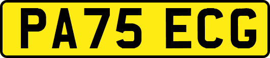 PA75ECG