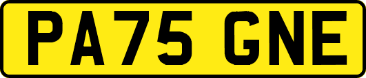 PA75GNE