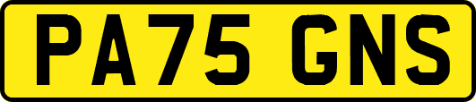PA75GNS
