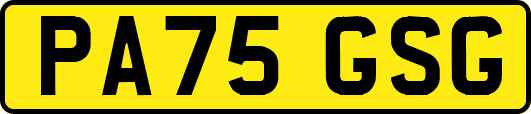 PA75GSG