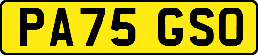 PA75GSO