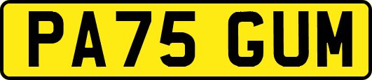 PA75GUM
