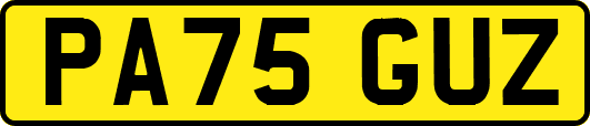 PA75GUZ