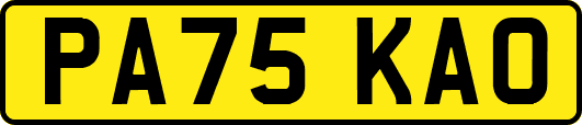 PA75KAO