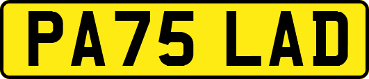 PA75LAD