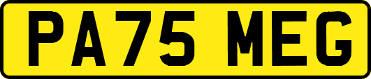 PA75MEG