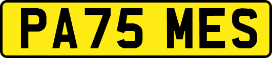 PA75MES