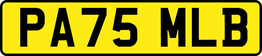 PA75MLB