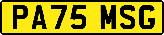 PA75MSG