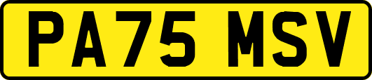 PA75MSV