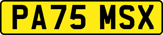 PA75MSX