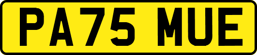 PA75MUE