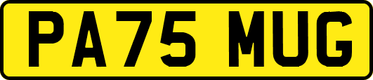 PA75MUG