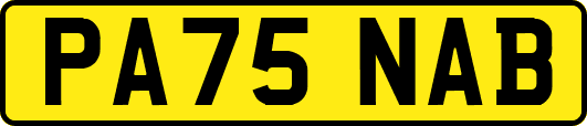 PA75NAB