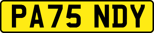 PA75NDY