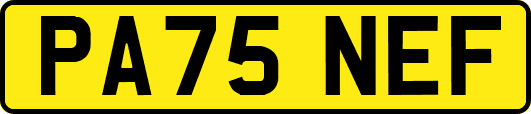 PA75NEF