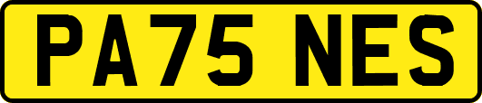 PA75NES
