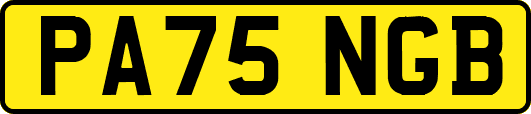 PA75NGB