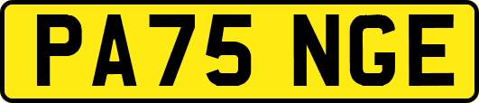 PA75NGE