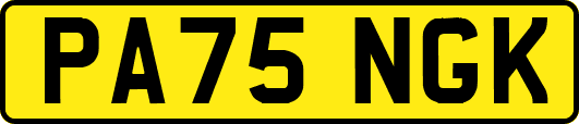PA75NGK