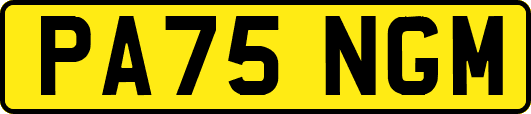 PA75NGM