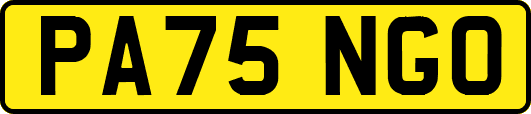 PA75NGO
