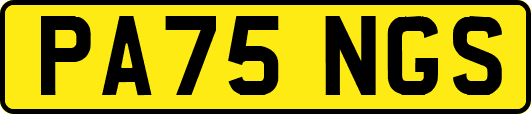 PA75NGS