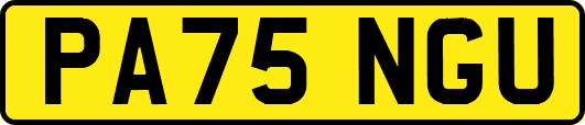 PA75NGU