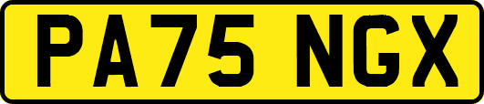 PA75NGX