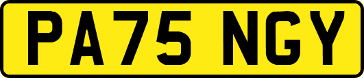 PA75NGY