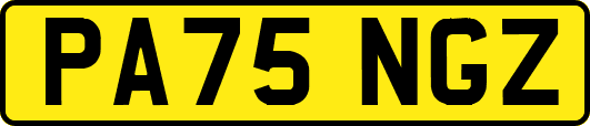 PA75NGZ
