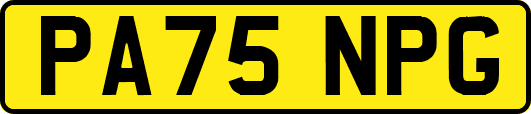 PA75NPG