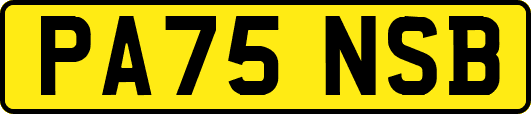 PA75NSB