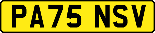 PA75NSV