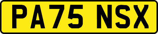 PA75NSX
