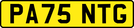 PA75NTG