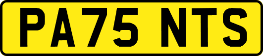 PA75NTS