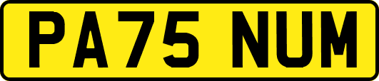 PA75NUM