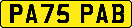 PA75PAB