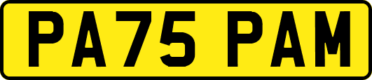 PA75PAM