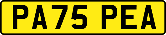 PA75PEA