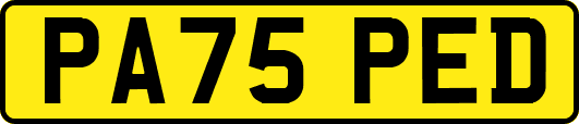 PA75PED