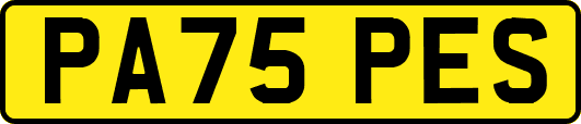 PA75PES