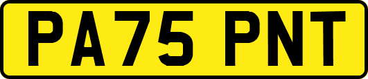 PA75PNT