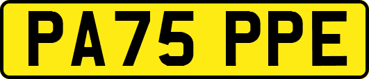 PA75PPE