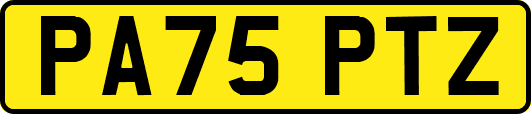 PA75PTZ