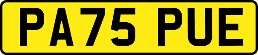 PA75PUE