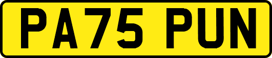 PA75PUN