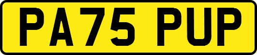 PA75PUP