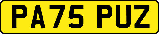 PA75PUZ